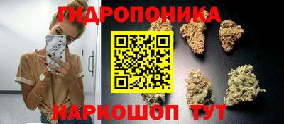 прущие крисы Татарск