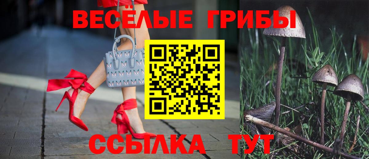 Галлюциногенные грибы Cubensis Нурлат