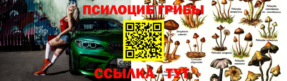 где купить наркотик  Вход с VPN  Нурлат  Галлюциногенные грибы Magic Shrooms 